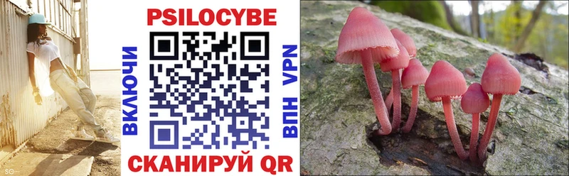 Галлюциногенные грибы Psilocybine cubensis  Нижний Новгород 